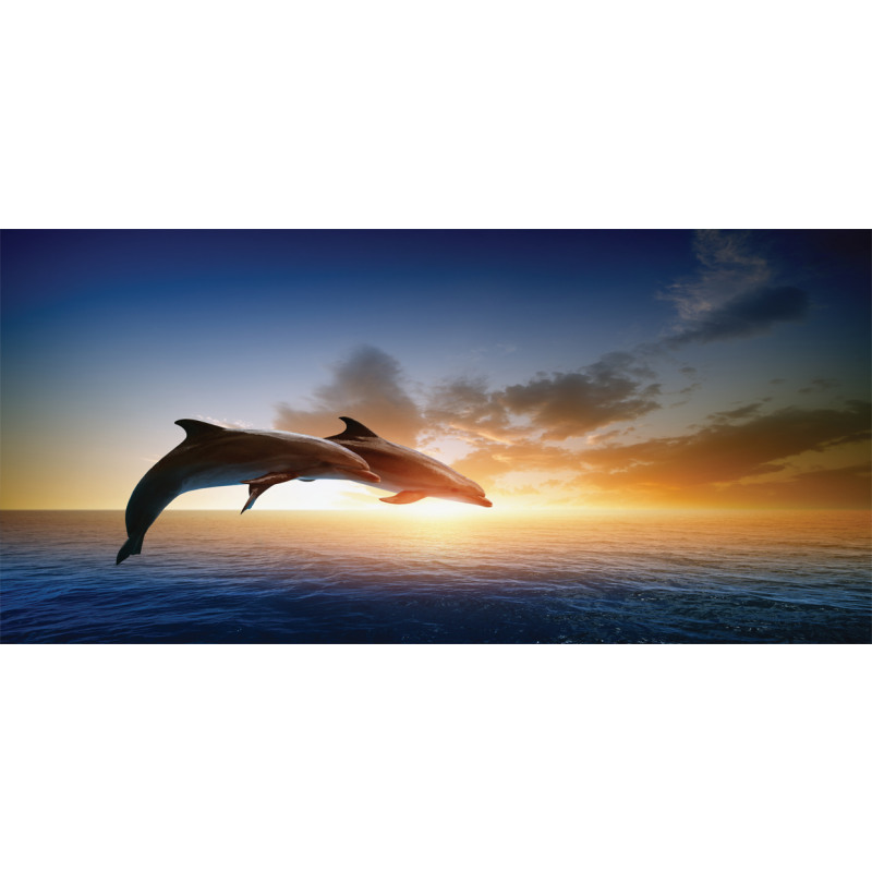 Couple of Dolphins Jump on Sea Mug