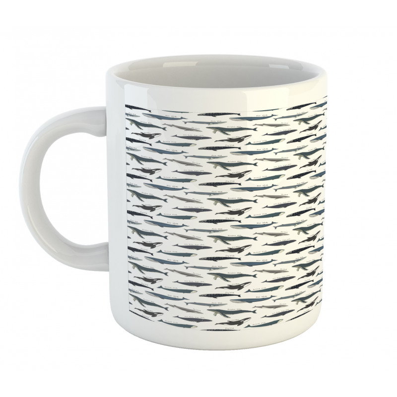 Type of Fish Grey Fin Killer Mug