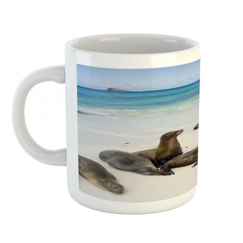 Galapagos Island Sea Lions Mug