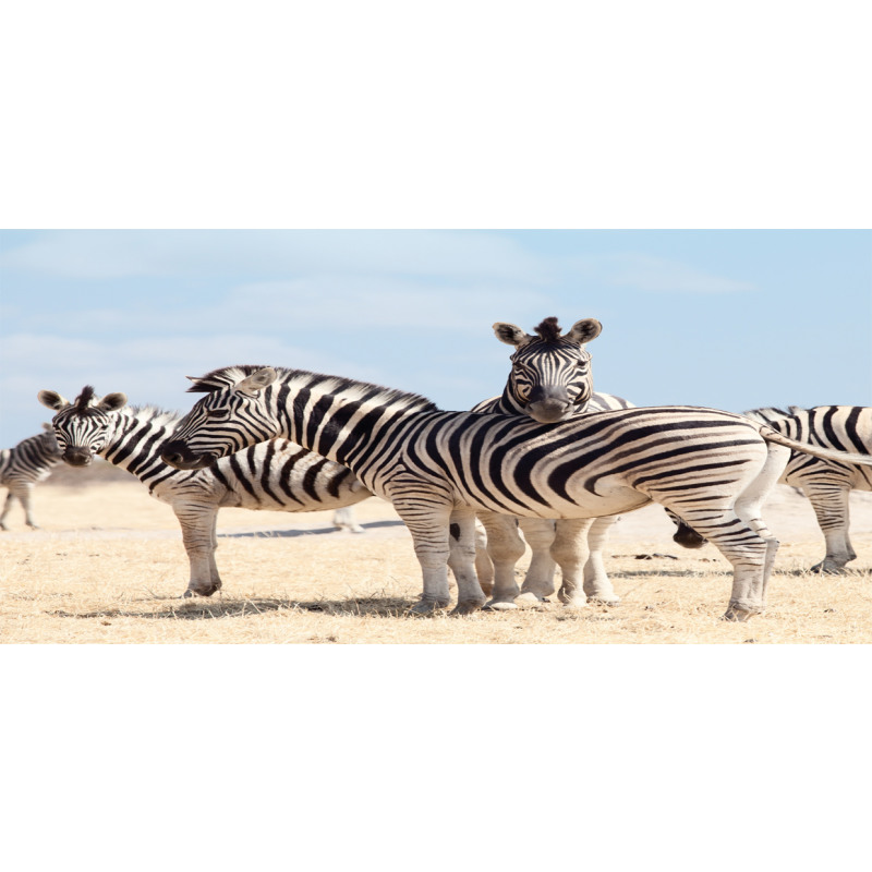 Namibia Africa Safari Mug