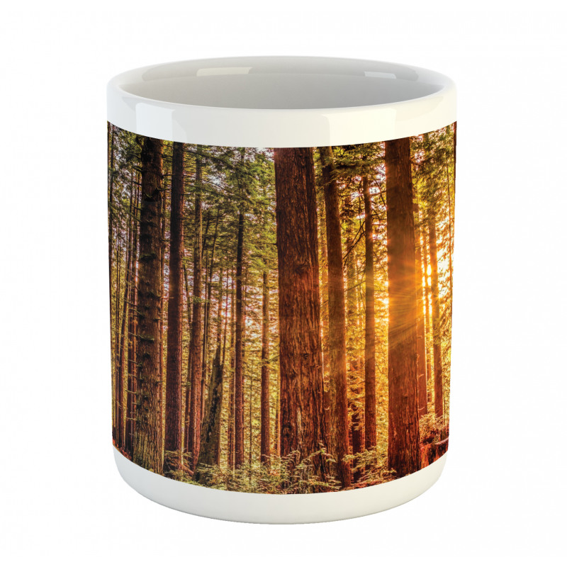 Redwoods Forestry Mug