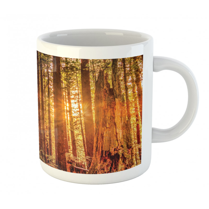 Redwoods Forestry Mug