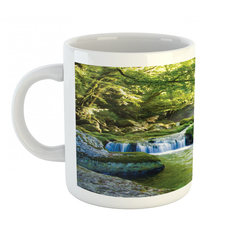 Foliage Misty Mountains Mug