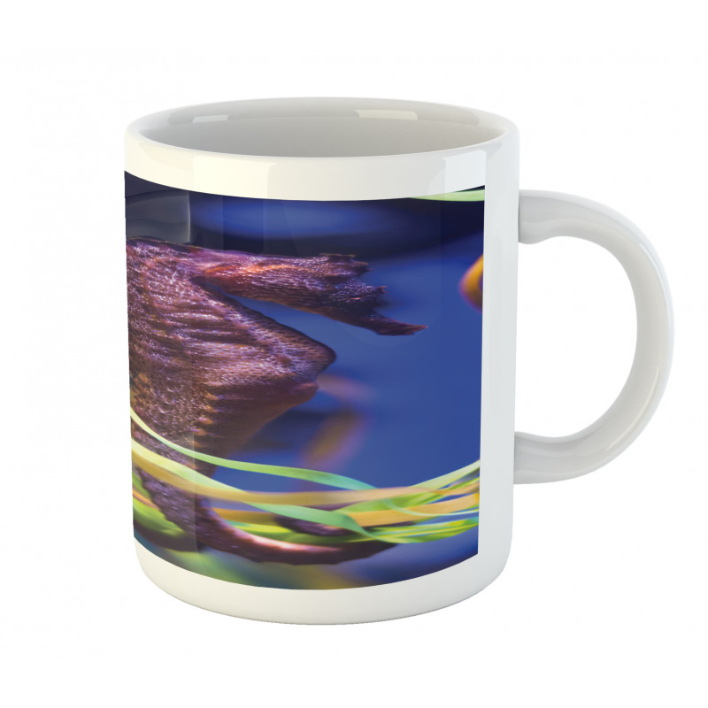 Close up Photo with Kelp Mug