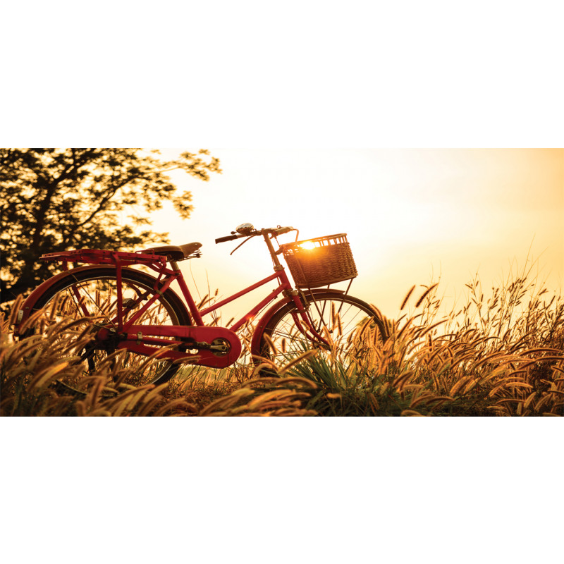 Bike in Sepia Tones Rural Mug