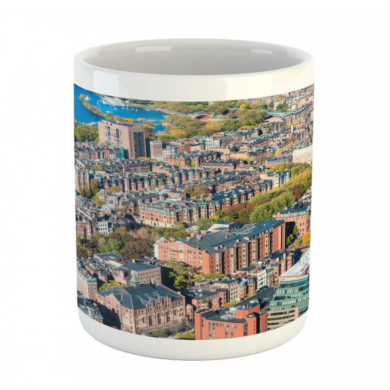 Aerial View of Buildings Mug