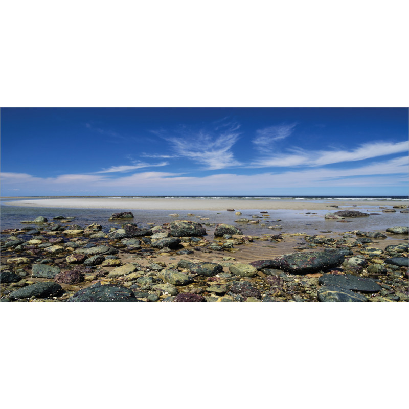 Plum Island Beach Mug