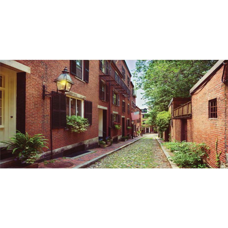 Historic Acorn Street Mug