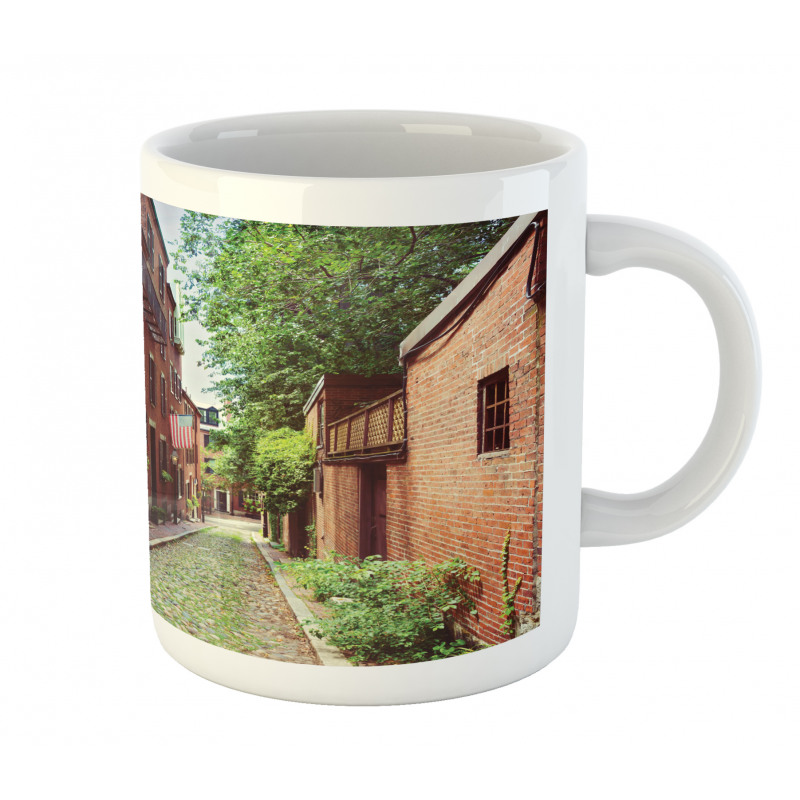 Historic Acorn Street Mug