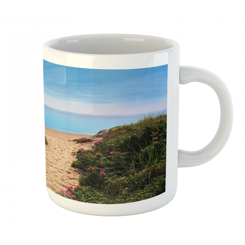 Herring Cove Beach Mug