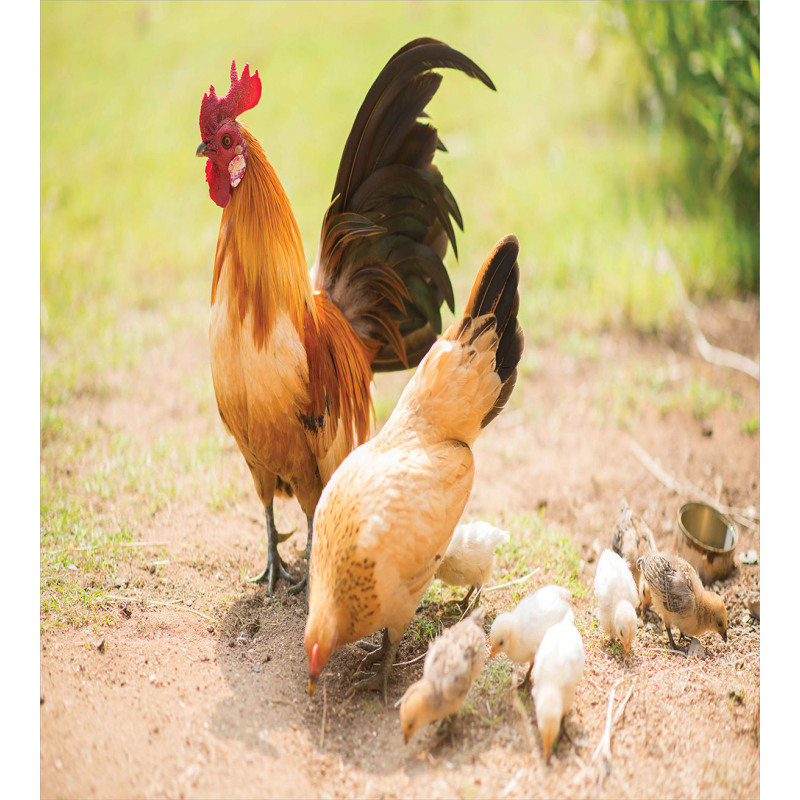 Chicken Family Photo Duvet Cover Set