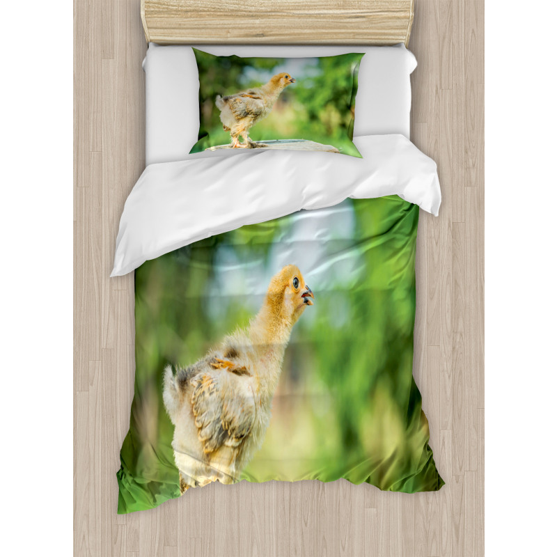 Little Baby Chicken on Log Duvet Cover Set