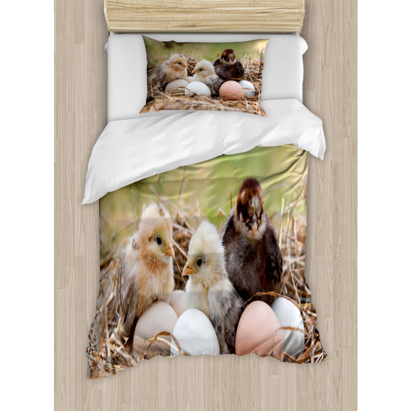 Little Chickens in Hay Eggs Duvet Cover Set