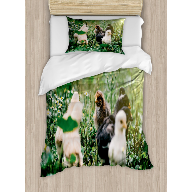 Little Chickens in Daisies Duvet Cover Set