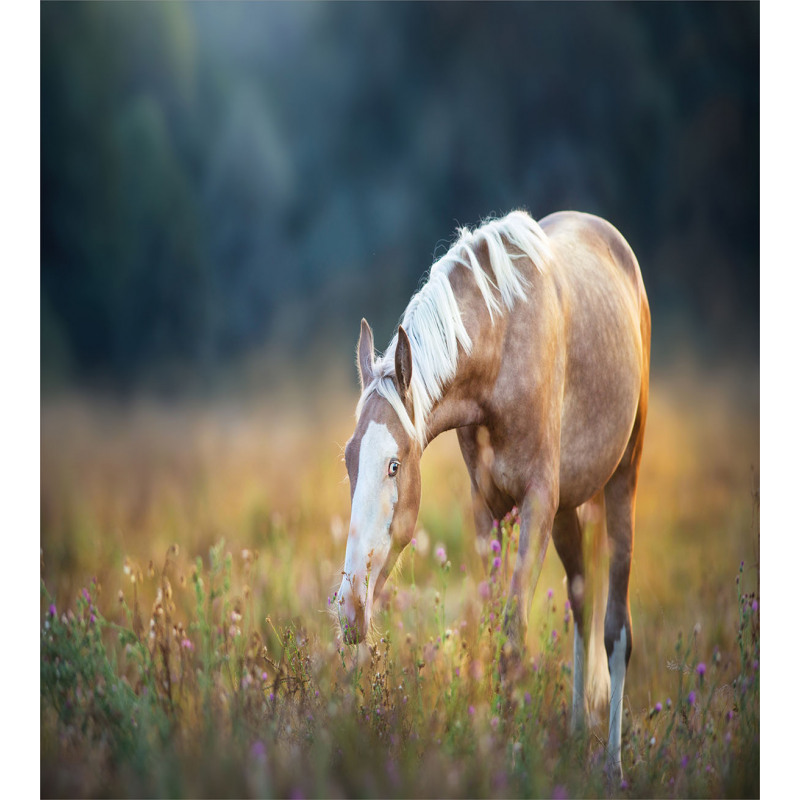 Palomino Horse Grazing Duvet Cover Set