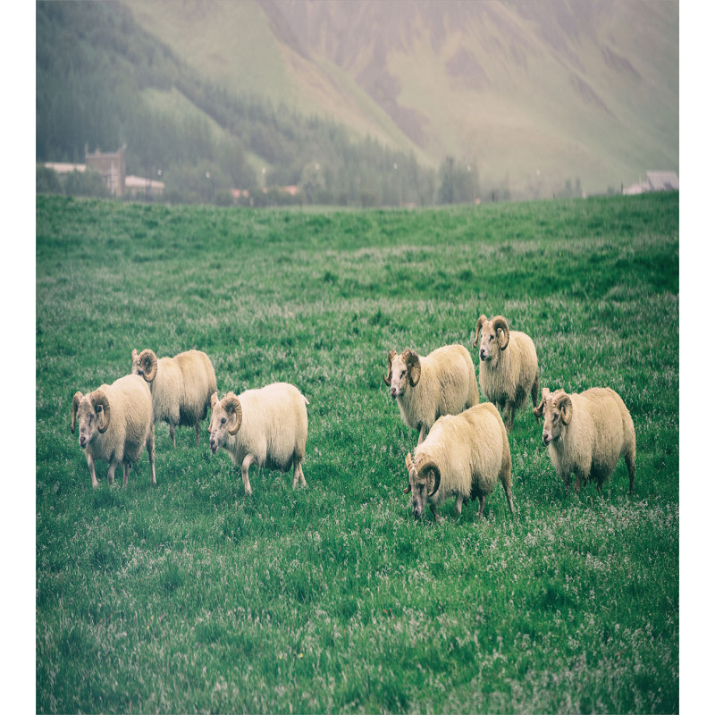 Sheep Grazing on Grass Duvet Cover Set