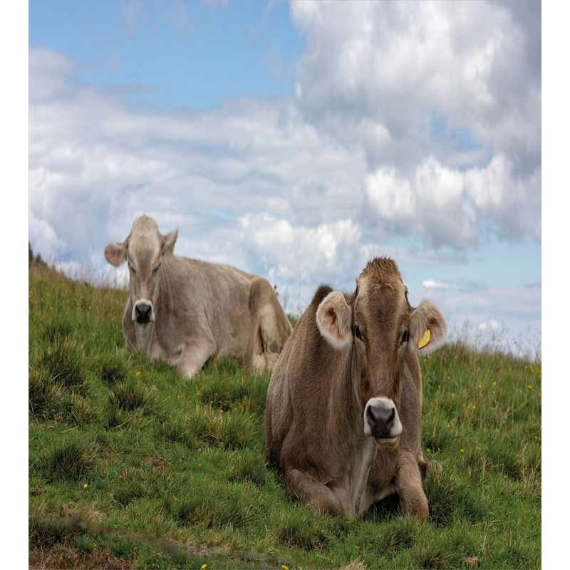 Resting Cows and Sky Duvet Cover Set