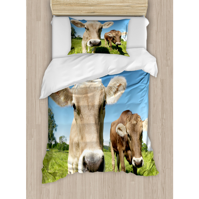 Close up Cows Duvet Cover Set