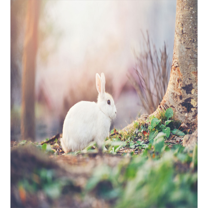 Spring Rabbit Forest Duvet Cover Set