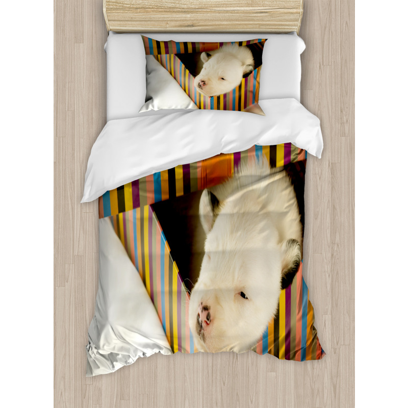 Newborn Dog in Gift Box Photo Duvet Cover Set