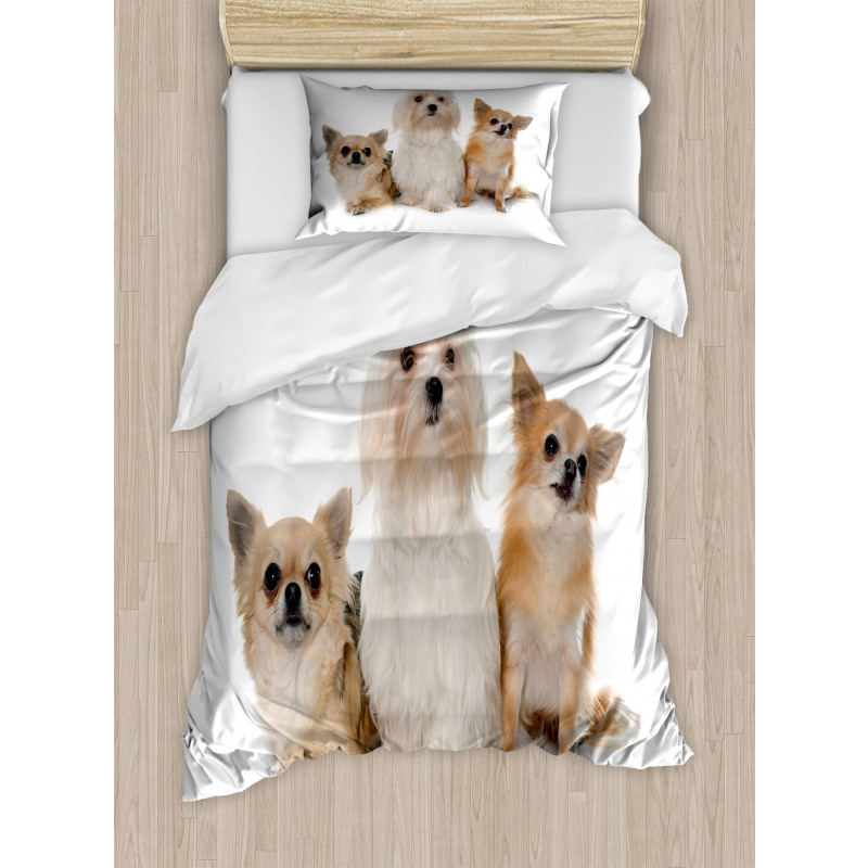 Chihuahua and Maltese Dogs Duvet Cover Set