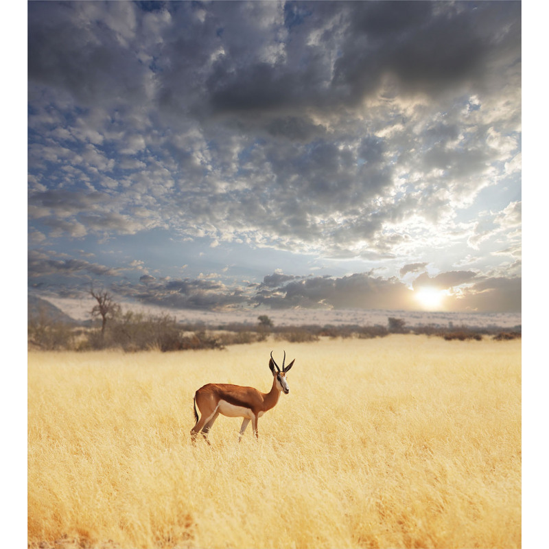 Antelope in Tranquil Nature Duvet Cover Set