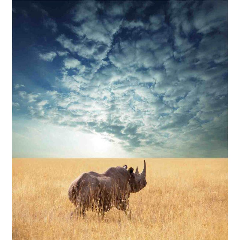 Rhino Dramatic Cloudy Sky Duvet Cover Set