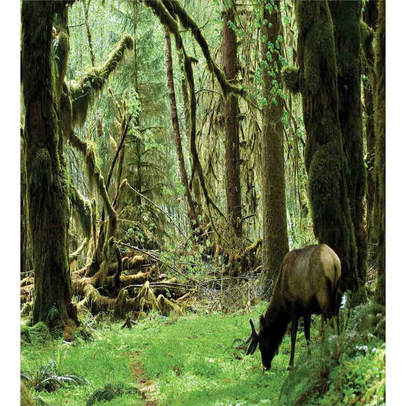 Roosevelt Elk in Park Duvet Cover Set