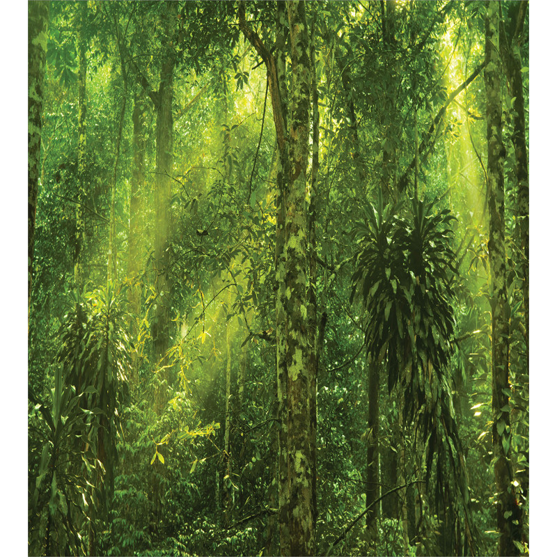 Sun Beams Tropic Forest Duvet Cover Set