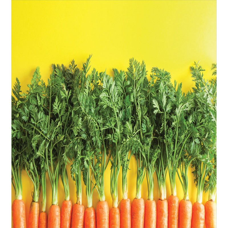 Carrots in a Row Art Duvet Cover Set