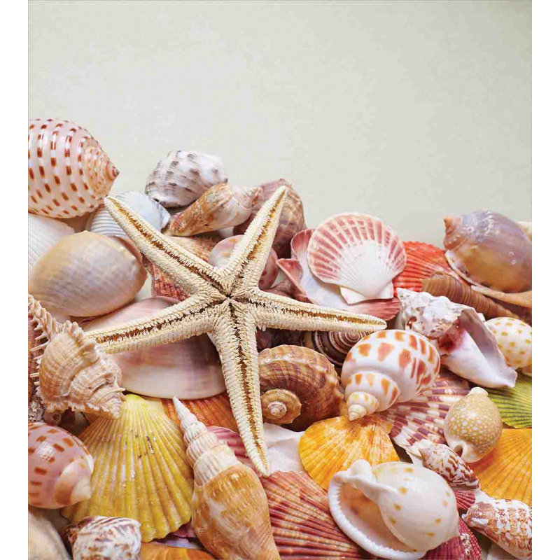 Pile of Seashells Beach Duvet Cover Set