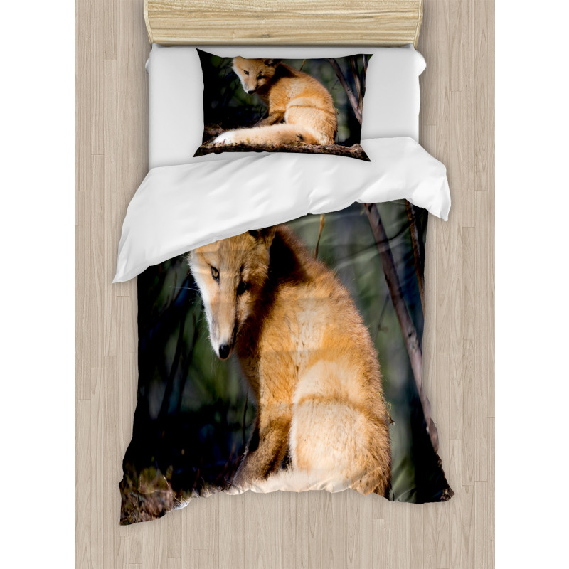 Young Coyote in Forest Sunrays Duvet Cover Set