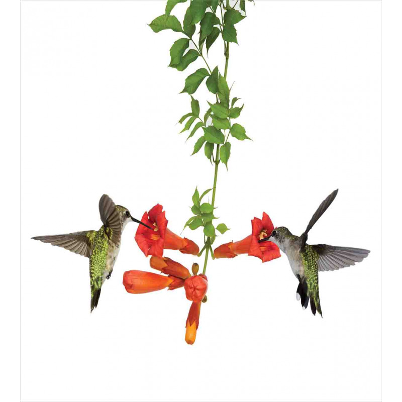 Hummingbird Nectar Sip Duvet Cover Set