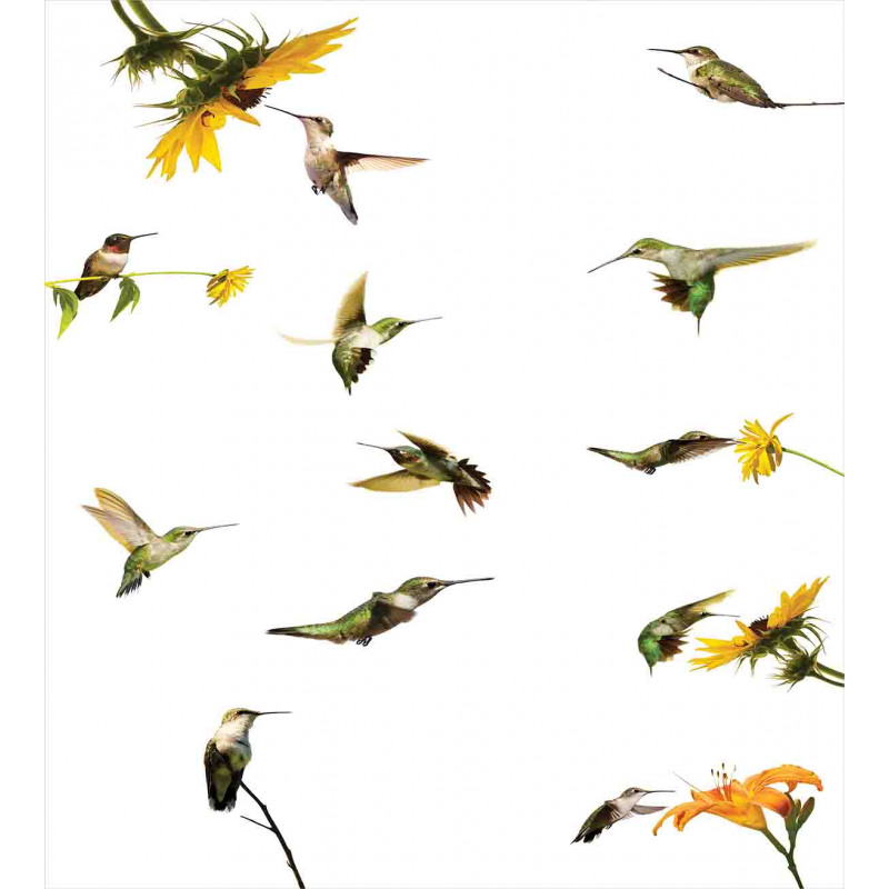 Hummingbird Sunflowers Duvet Cover Set