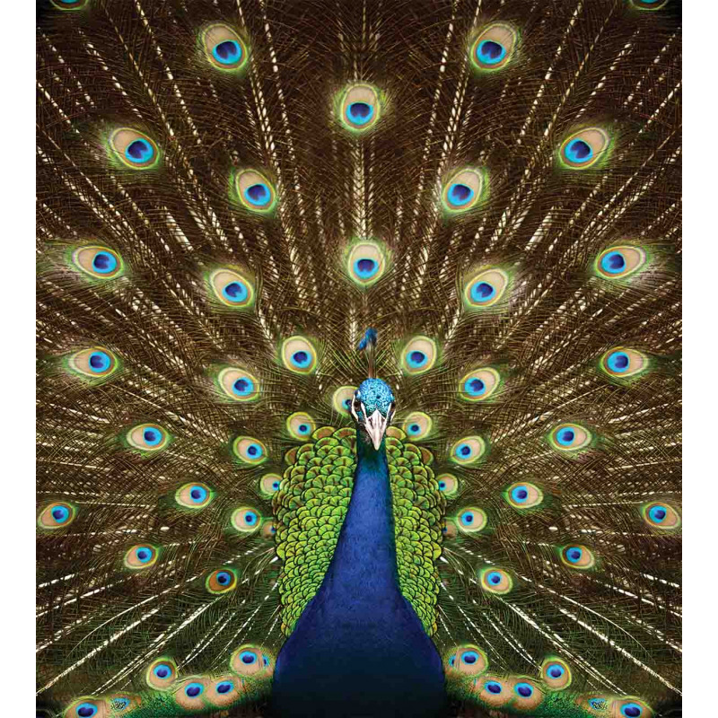 Peacock with Feathers Duvet Cover Set