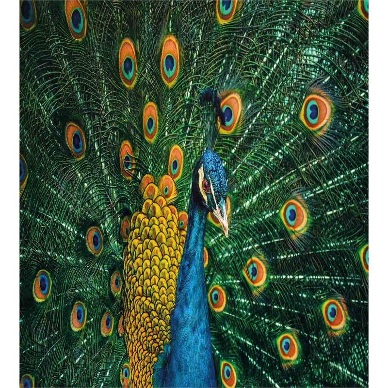 Portrait of the Peacock Duvet Cover Set