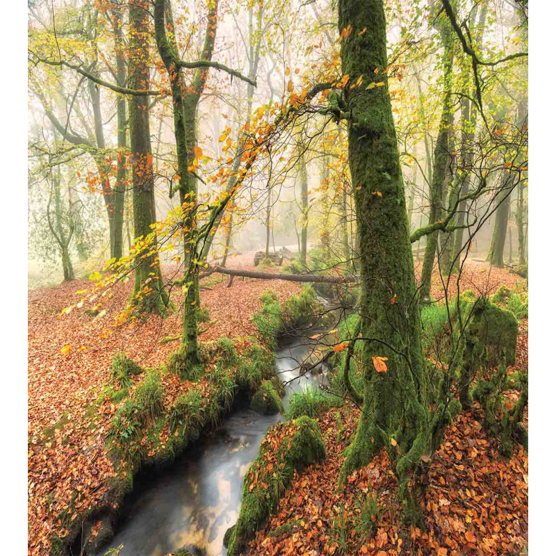 Misty Woods Cornwall Duvet Cover Set