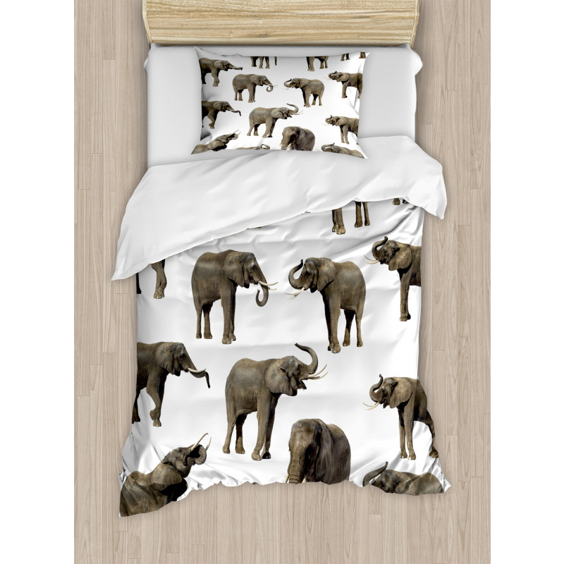 Elephants Tusk Ear Duvet Cover Set