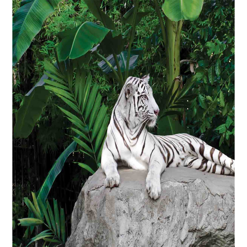 White Tiger in Jungle Duvet Cover Set