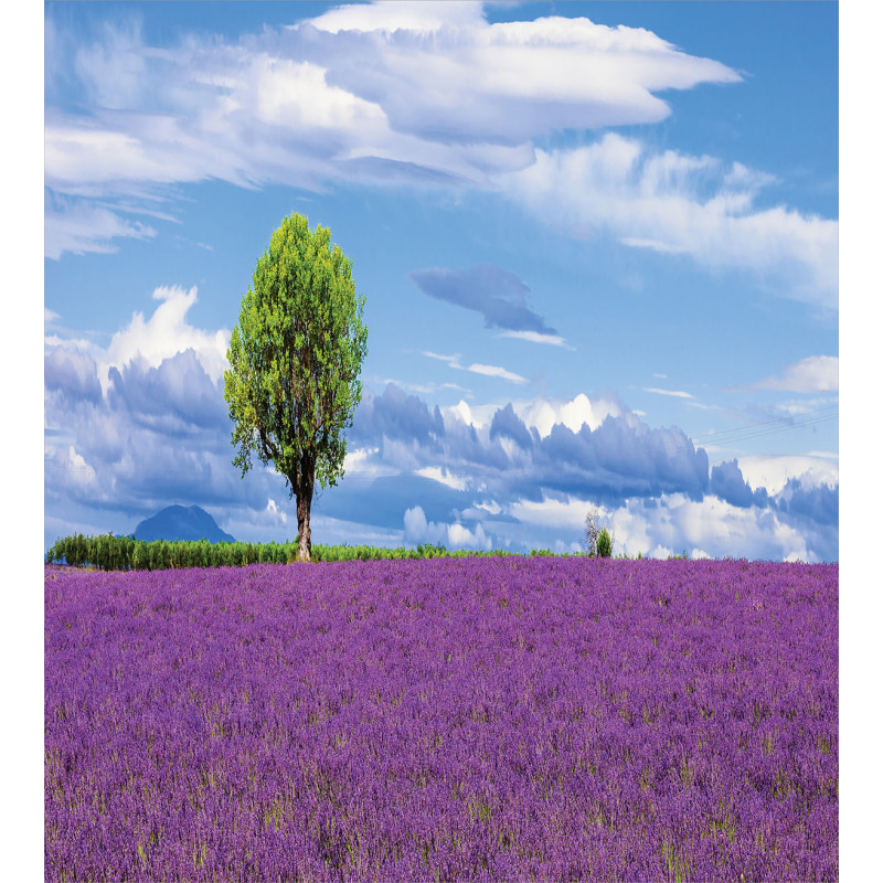 Lavender Field Tree Duvet Cover Set