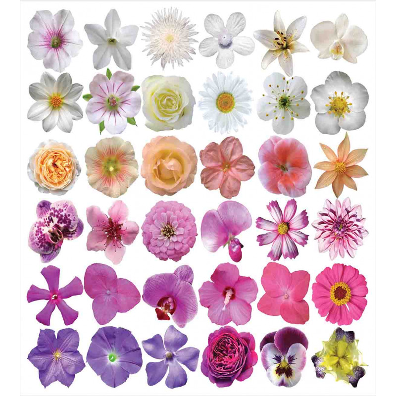 Flowers Petunia Botanic Duvet Cover Set
