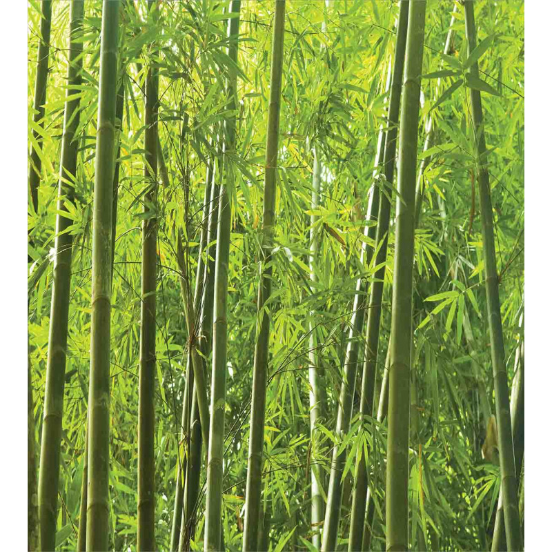 Exotic Tropical Bamboo Duvet Cover Set