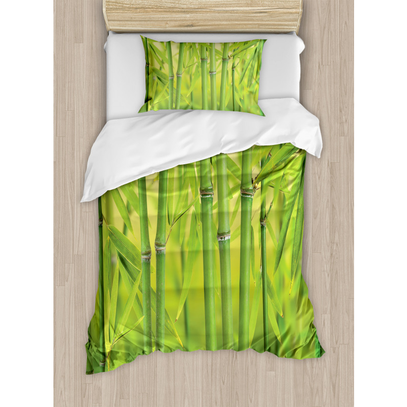 Bamboo Sprout Stem Forest Duvet Cover Set
