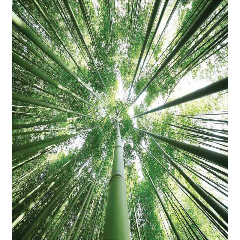 Tropic Rain Forest Bamboo Duvet Cover Set