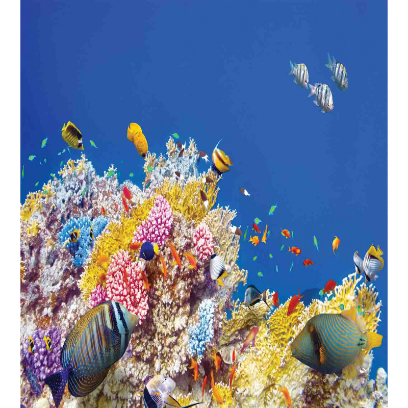 Tropical Corals Fish Duvet Cover Set