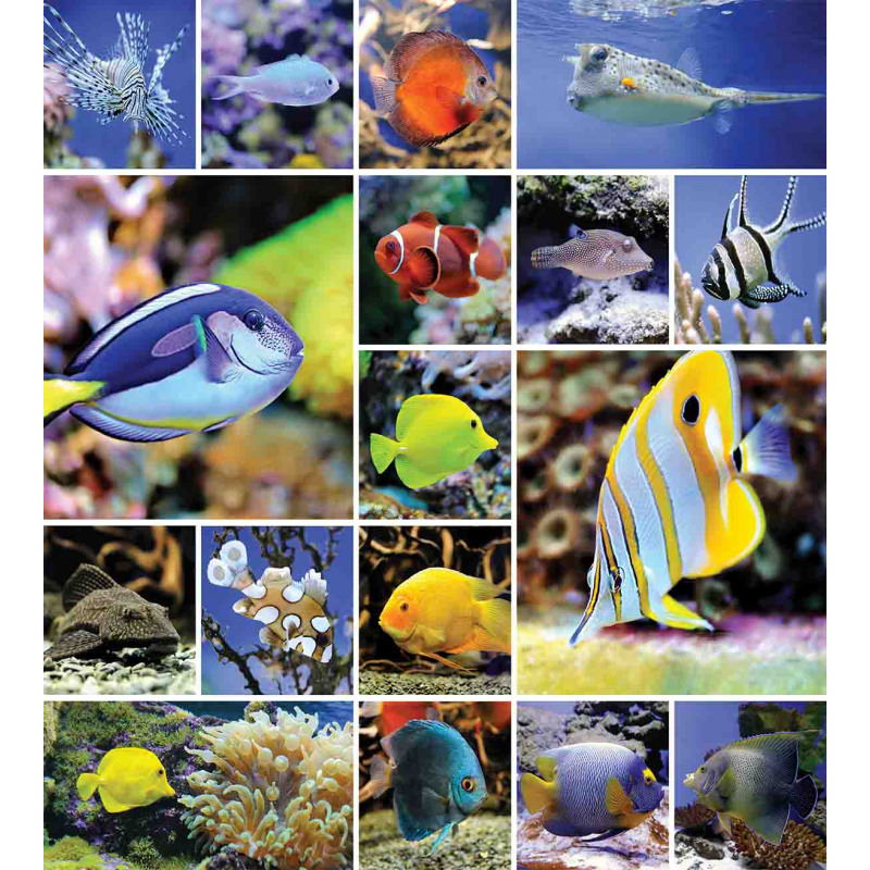 Collage of Underwater Duvet Cover Set