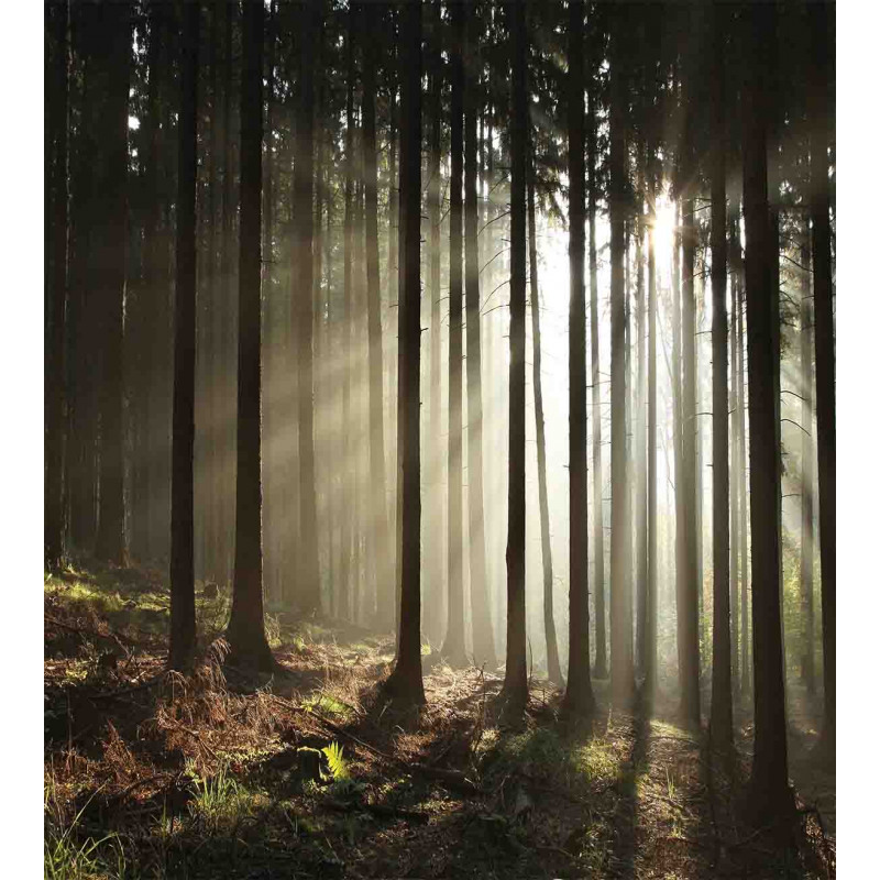 Morning Forest Scenery Duvet Cover Set