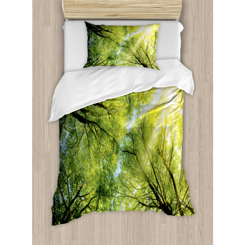 Romantic Beech Trees Duvet Cover Set