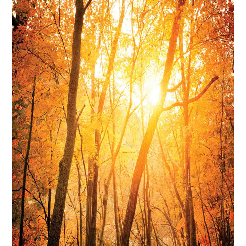 Autumn Forest Branches Duvet Cover Set