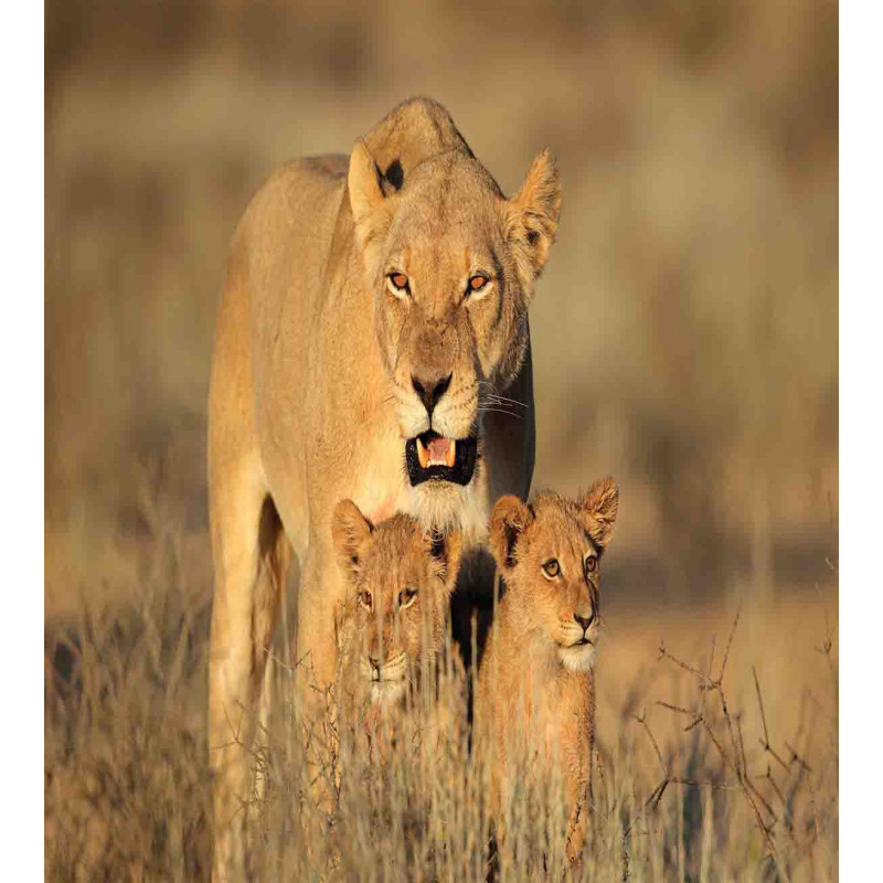 Safari Lions Wilderness Duvet Cover Set